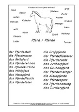 Pferde-Wörter-Lösung.pdf